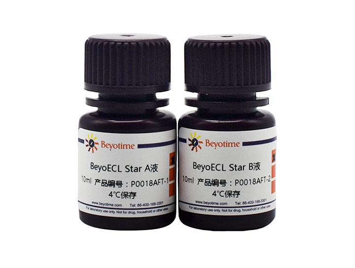 BeyoECL Star (特超敏ECL化学发光试剂盒) (试用装)